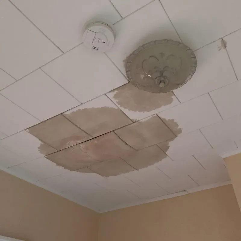 Ceiling Water Damage Repair in Moriches, NY